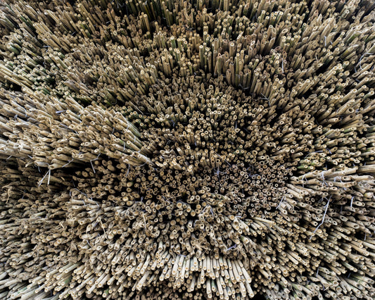 Bamboo Scaffolding - tinyislandmaps