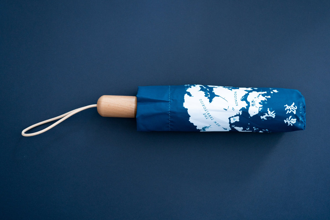 Hong Kong Umbrella tinyislandmaps