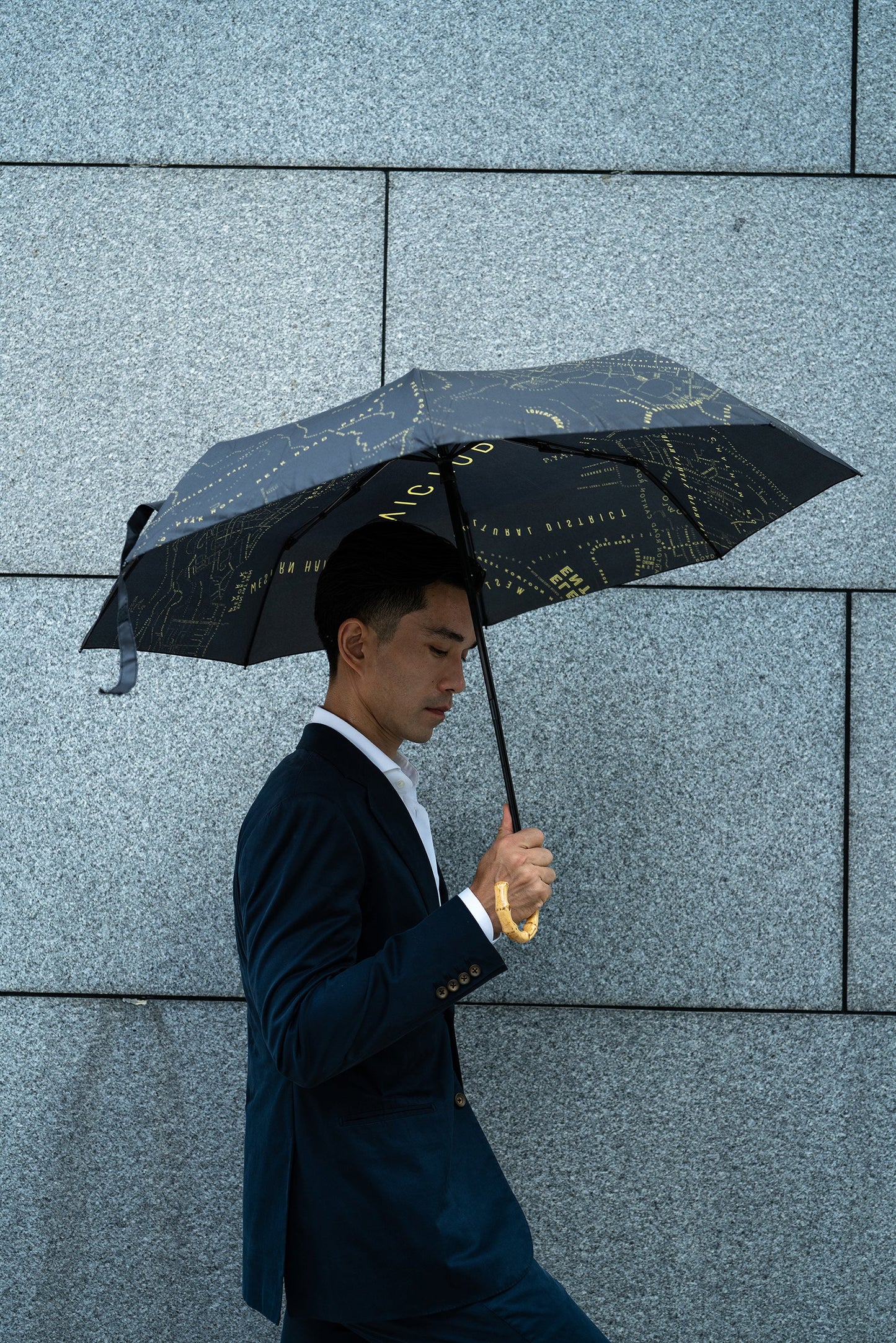 Victoria Harbour Umbrella - tinyislandmaps